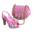 Newest Pumps Women High Heels Shoes and Bags Set JNB54