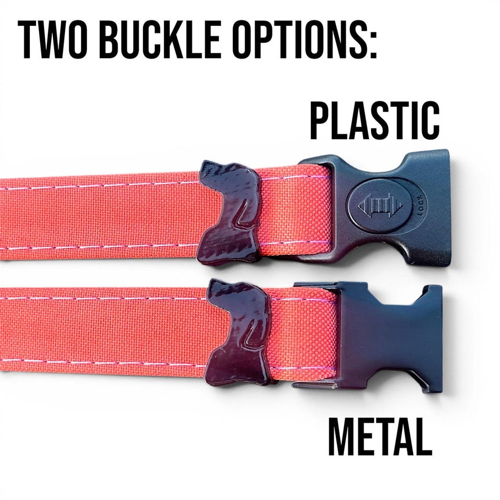 Rugged Waterproof AirTag Dog Collar with Holder
