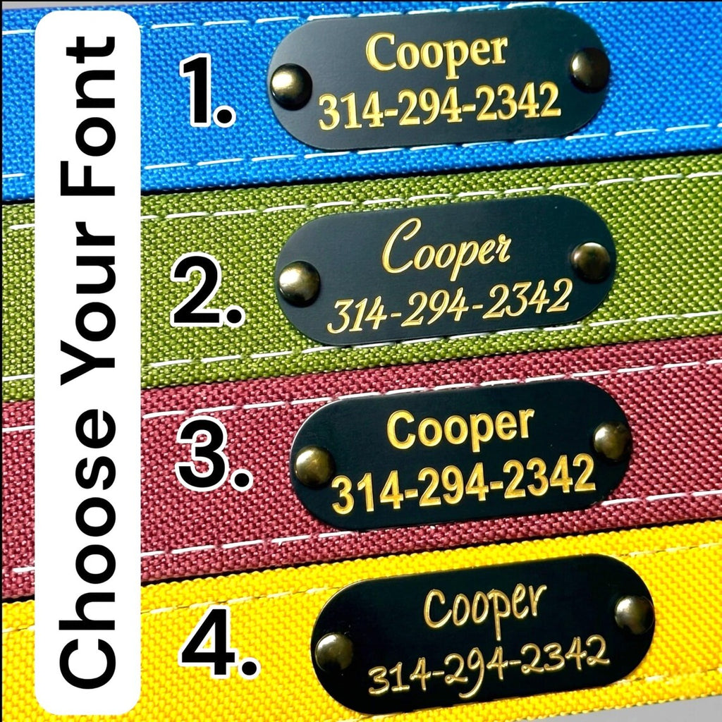 Rugged Waterproof AirTag Dog Collar with Holder
