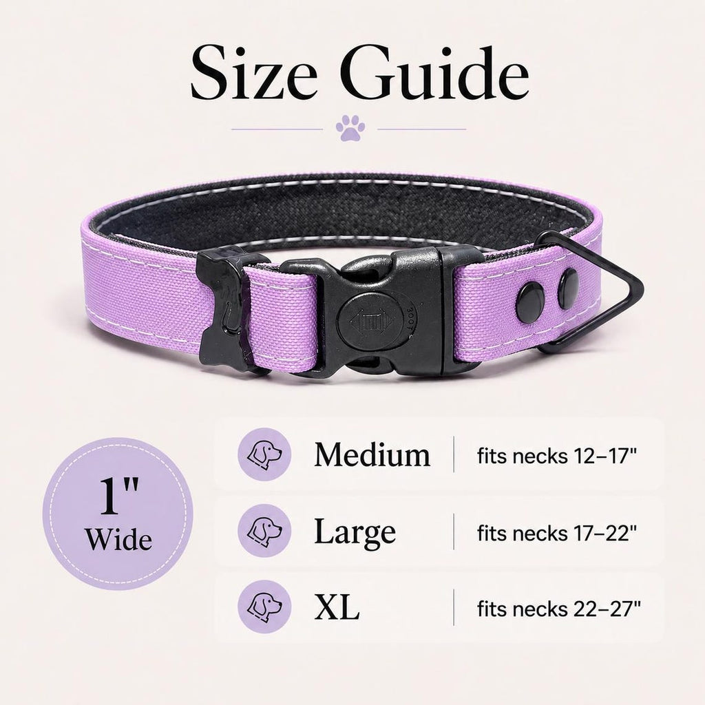 Rugged Waterproof AirTag Dog Collar with Holder